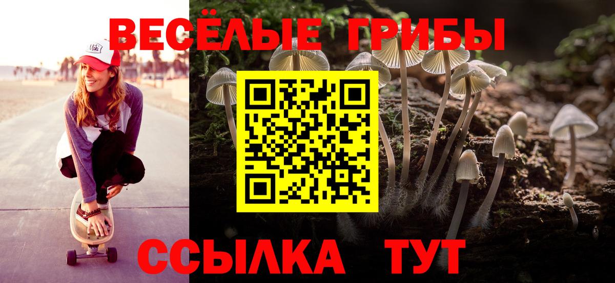 Псилоцибиновые грибы MAGIC MUSHROOMS  Вход с VPN  Лыткарино  Псилоцибиновые грибы MAGIC MUSHROOMS 